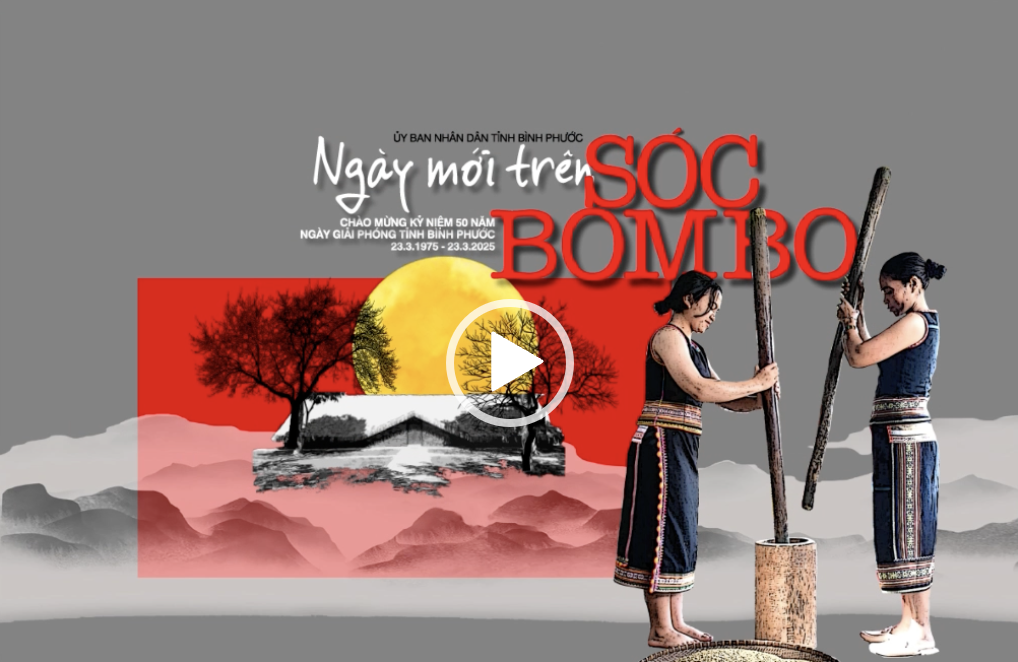 Screenshot 2025-02-26 at 11.03.50