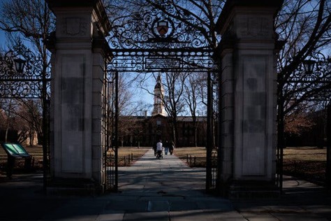 Picture23