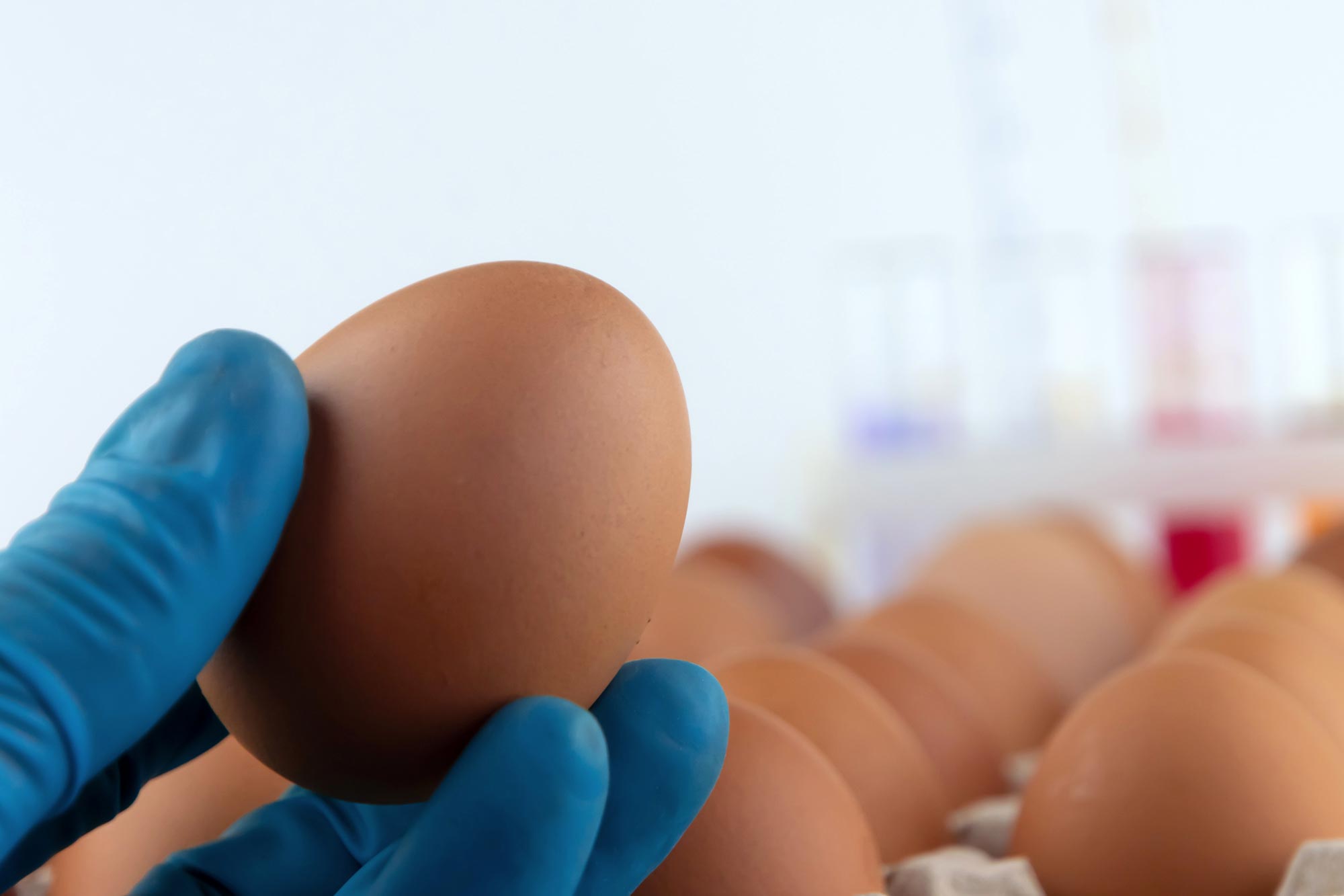 Scientist-Glove-Hand-Holding-Egg